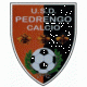 Pedrengo Calcio